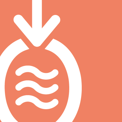 The Amphora 'Pineapple'